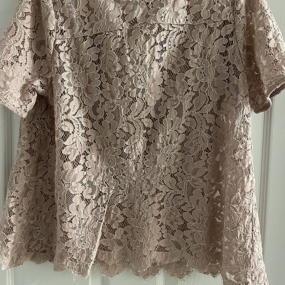 Loft Pale Pink Lace Top, L